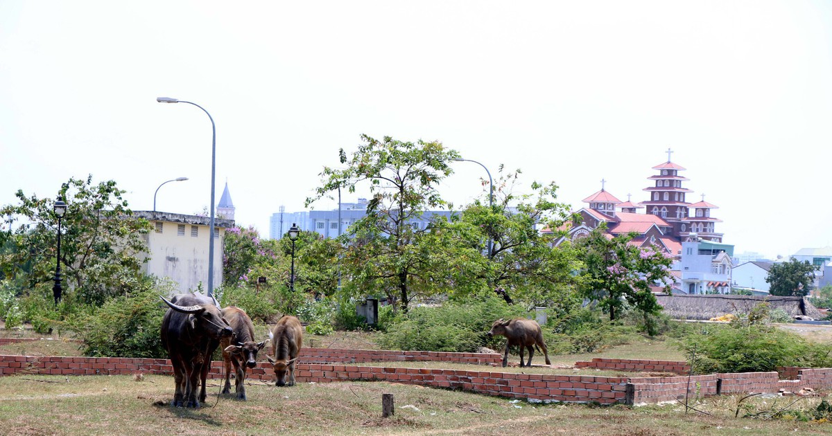 Hết thời bất động sản 'treo đầu dê, bán thịt chó'