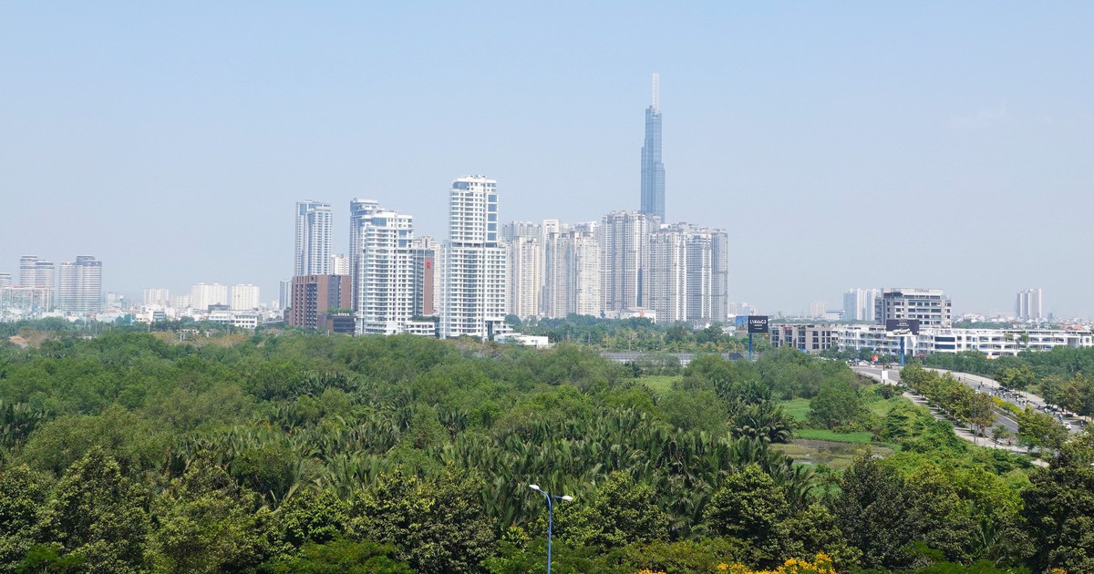 Tăng mức đặt cọc đấu giá đất ở lên tới 50% giá khởi điểm