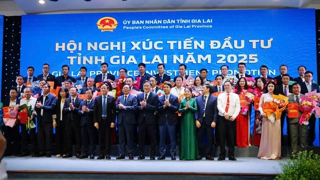 Gia Lai ‘mở hàng’ đầu năm với loạt dự án hơn 27.400 tỉ đồng - Ảnh 2