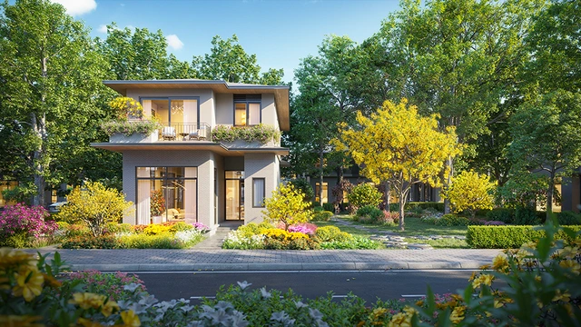 Rừng Mai - Mảnh ghép đầu tiên mở ra Mùa Lễ Hội tại Eco Retreat - Ảnh 1