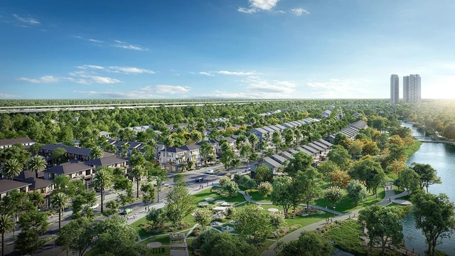 Rừng Mai - Mảnh ghép đầu tiên mở ra Mùa Lễ Hội tại Eco Retreat - Ảnh 2