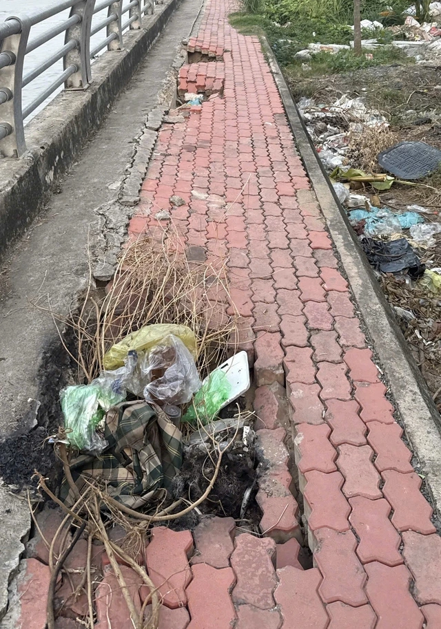 Người dân dọc đường Trần Xuân Soạn lo sụt lún nghiêm trọng giống bờ kè kênh Tàu Hủ - Ảnh 3