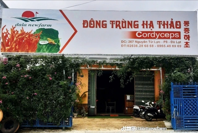 Đông trùng hạ thảo DalaNewfarm: Tất cả vì sức khỏe cộng đồng - Ảnh 1