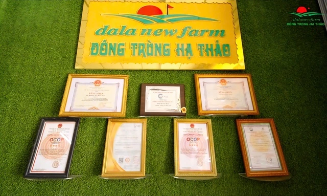 Đông trùng hạ thảo DalaNewfarm: Tất cả vì sức khỏe cộng đồng - Ảnh 10