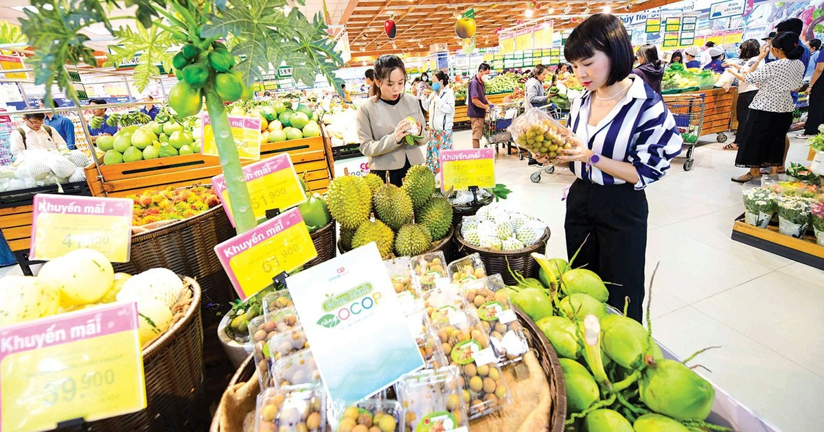 Saigon Co.op khẳng định vai trò trụ cột của bán lẻ nội địa