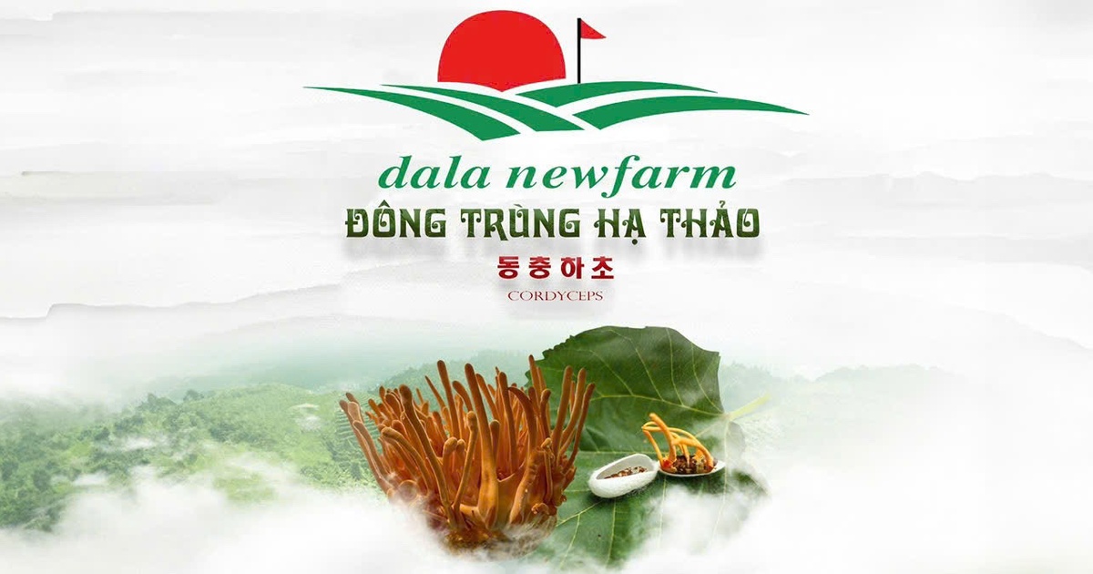 Đông trùng hạ thảo DalaNewfarm: Tất cả vì sức khỏe cộng đồng