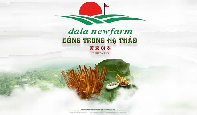 Đông trùng hạ thảo DalaNewfarm: Tất cả vì sức khỏe cộng đồng - Ảnh 2