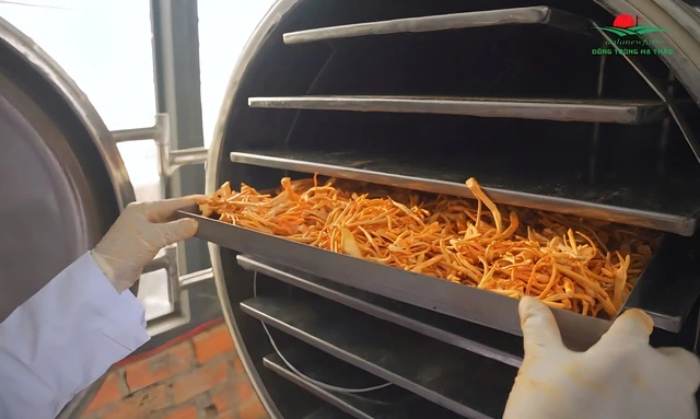 Đông trùng hạ thảo DalaNewfarm: Tất cả vì sức khỏe cộng đồng - Ảnh 5