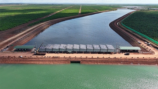 Kinh ngạc với hệ sinh thái nông nghiệp của tỉ phú Trần Bá Dương - Ảnh 4