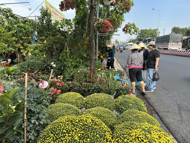 Phố phường TP.HCM rực rỡ sắc xuân - Ảnh 2