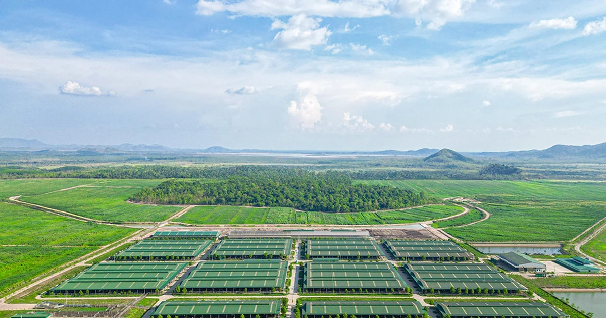 Kinh ngạc với hệ sinh thái nông nghiệp của tỉ phú Trần Bá Dương