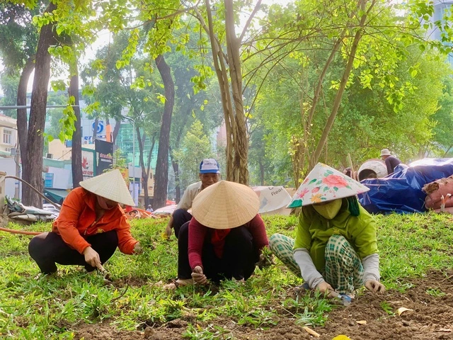 Chỉ còn 2 ngày nữa, TP.HCM sẽ có thêm một công viên phục vụ người dân - Ảnh 3
