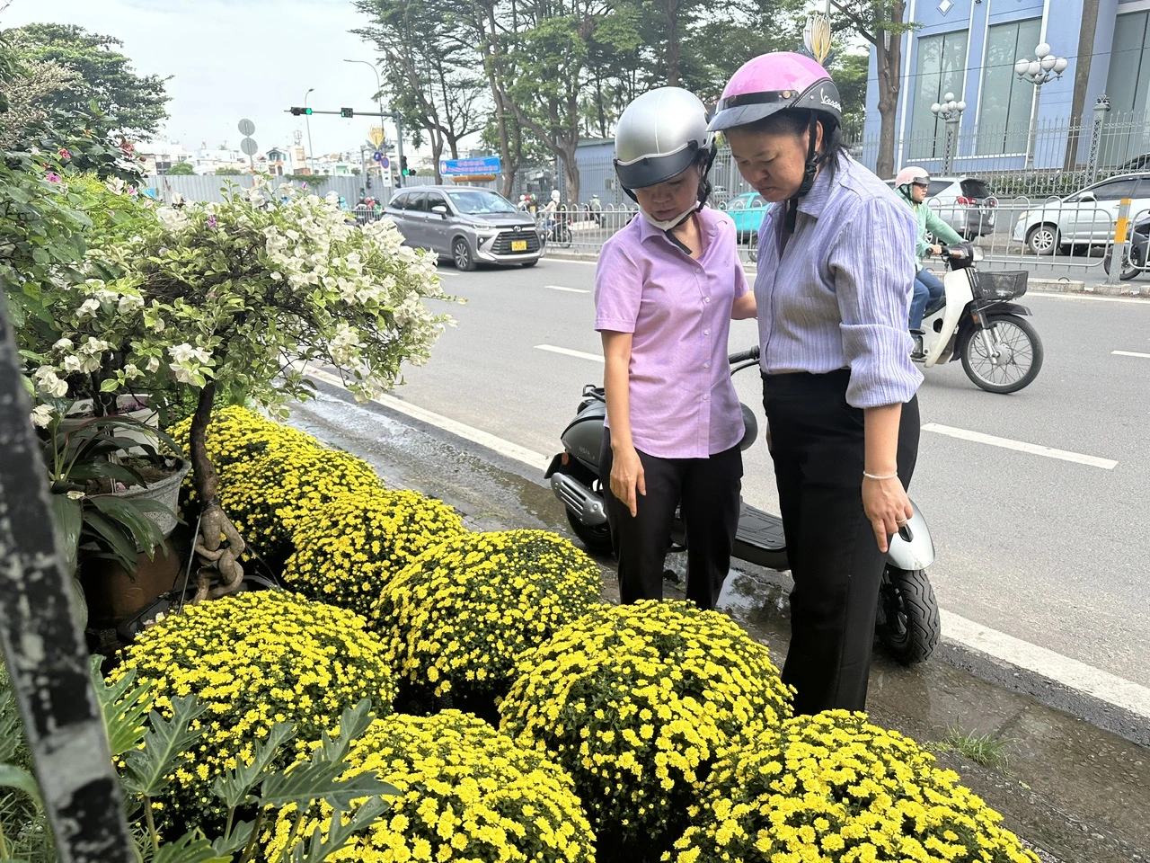 Hoa tết tấp nập xuống phố, giá không tăng - Ảnh 1