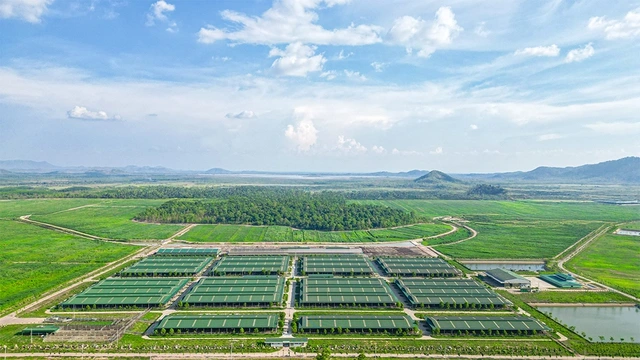 Kinh ngạc với hệ sinh thái nông nghiệp của tỉ phú Trần Bá Dương - Ảnh 2