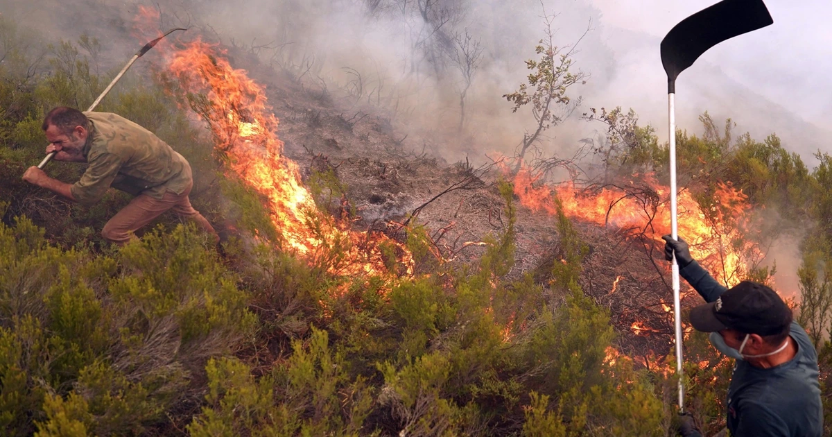 Vì sao 2025 là một trong 3 năm nóng nhất lịch sử dù có La Nina?