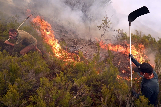 Vì sao 2025 là một trong 3 năm nóng nhất lịch sử dù có La Nina? - Ảnh 1