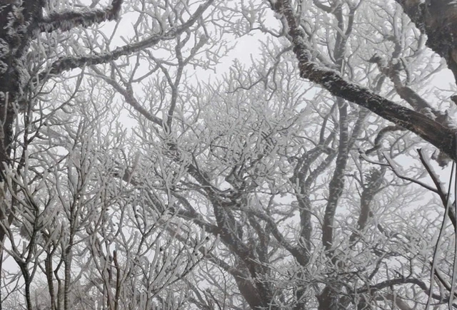 Vì sao 2025 là một trong 3 năm nóng nhất lịch sử dù có La Nina? - Ảnh 2