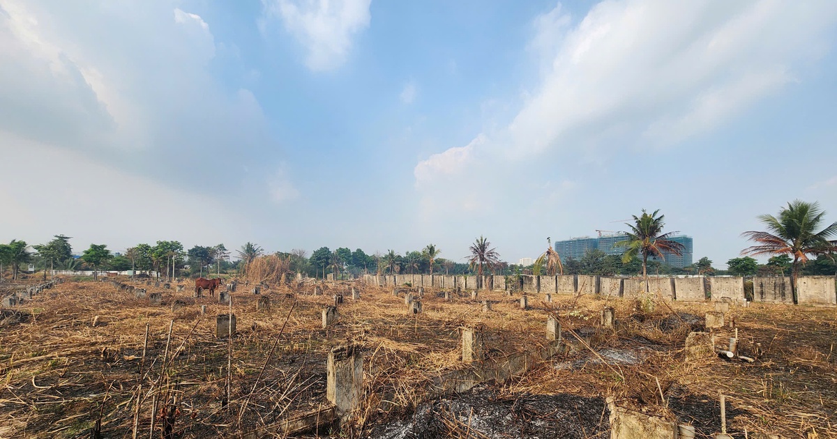 Để không bị lừa khi mua bán bất động sản, người dân cần đọc những điều này