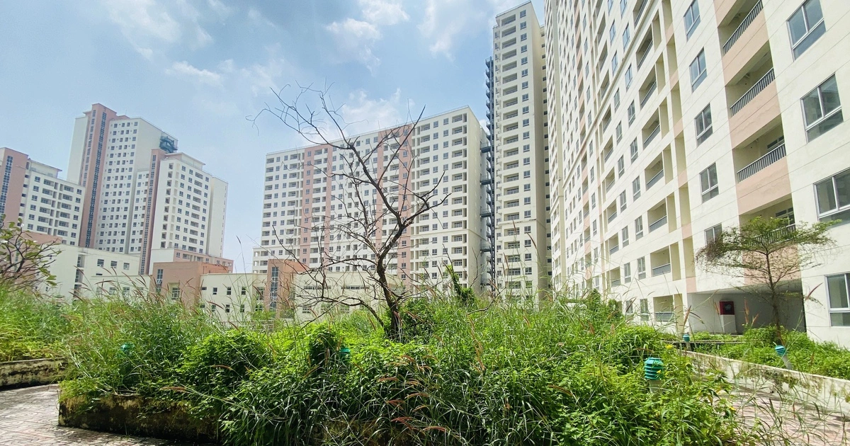 TP.HCM thu ngân sách 'khủng' từ đất