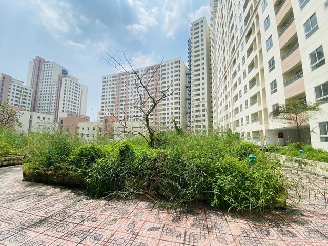 TP.HCM thu ngân sách 'khủng' từ đất - Ảnh 1