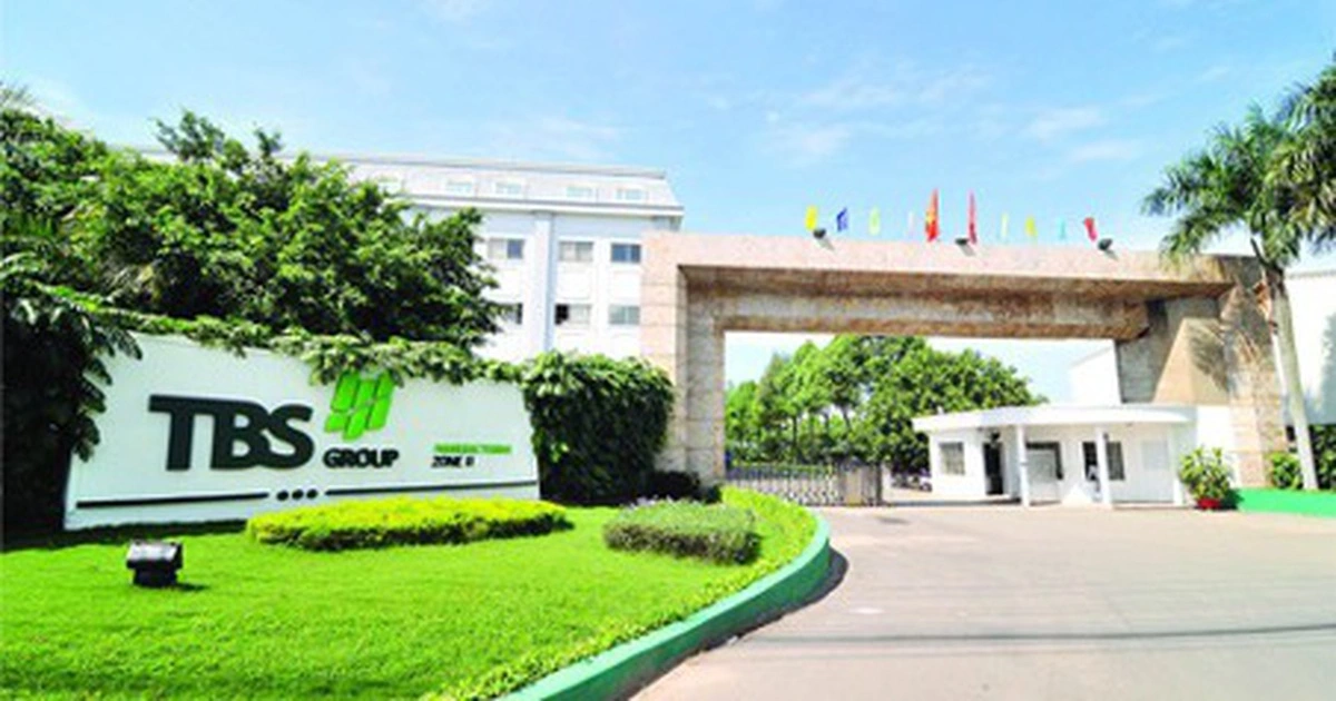 TBS Group - Hành trình từ đôi giày vững chãi, đến những bước sống êm ái