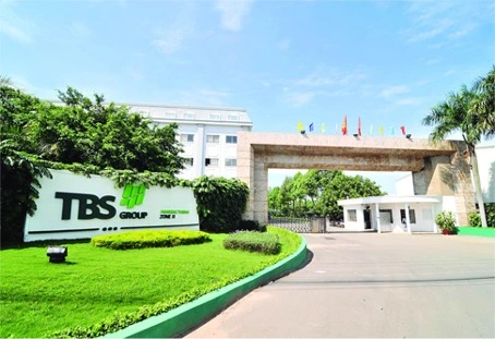 TBS Group - Hành trình từ đôi giày vững chãi, đến những bước sống êm ái - Ảnh 1