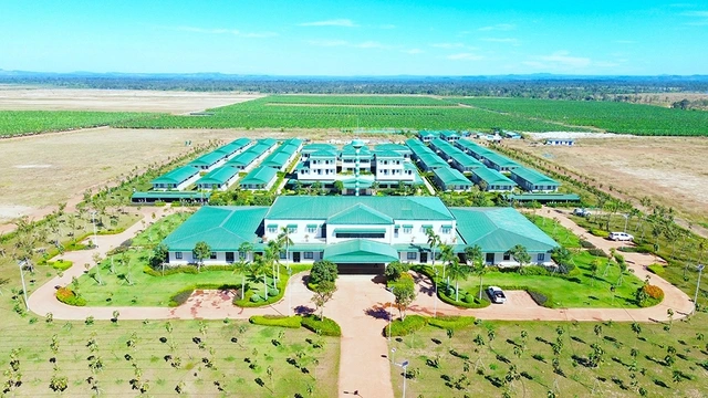 Kinh ngạc với hệ sinh thái nông nghiệp của tỉ phú Trần Bá Dương - Ảnh 5