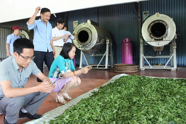 Ngành thuế lưu ý loạt điểm mới về thuế VAT - Ảnh 1