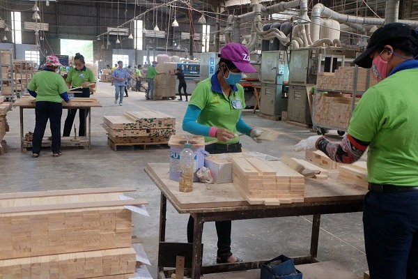 Doanh nghiệp nhỏ thành lập từ 2023, 2024 có được miễn thuế 3 năm? - Ảnh 1