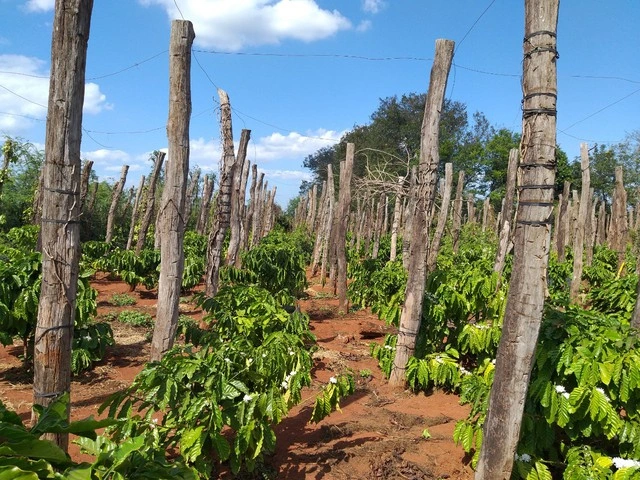 Quy định mới về quyết toán thuế thu nhập cá nhân áp dụng từ 14.2 - Ảnh 2