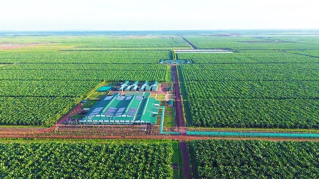 Kinh ngạc với hệ sinh thái nông nghiệp của tỉ phú Trần Bá Dương - Ảnh 3