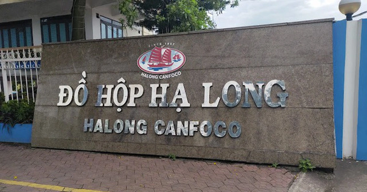 Ai đang sở hữu cổ phiếu Công ty Đồ hộp Hạ Long?