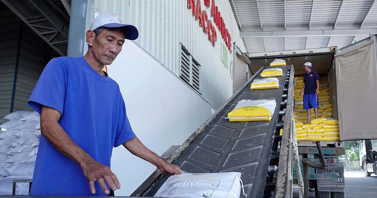 Việt Nam chủ động giảm lượng gạo xuất khẩu từ 2026