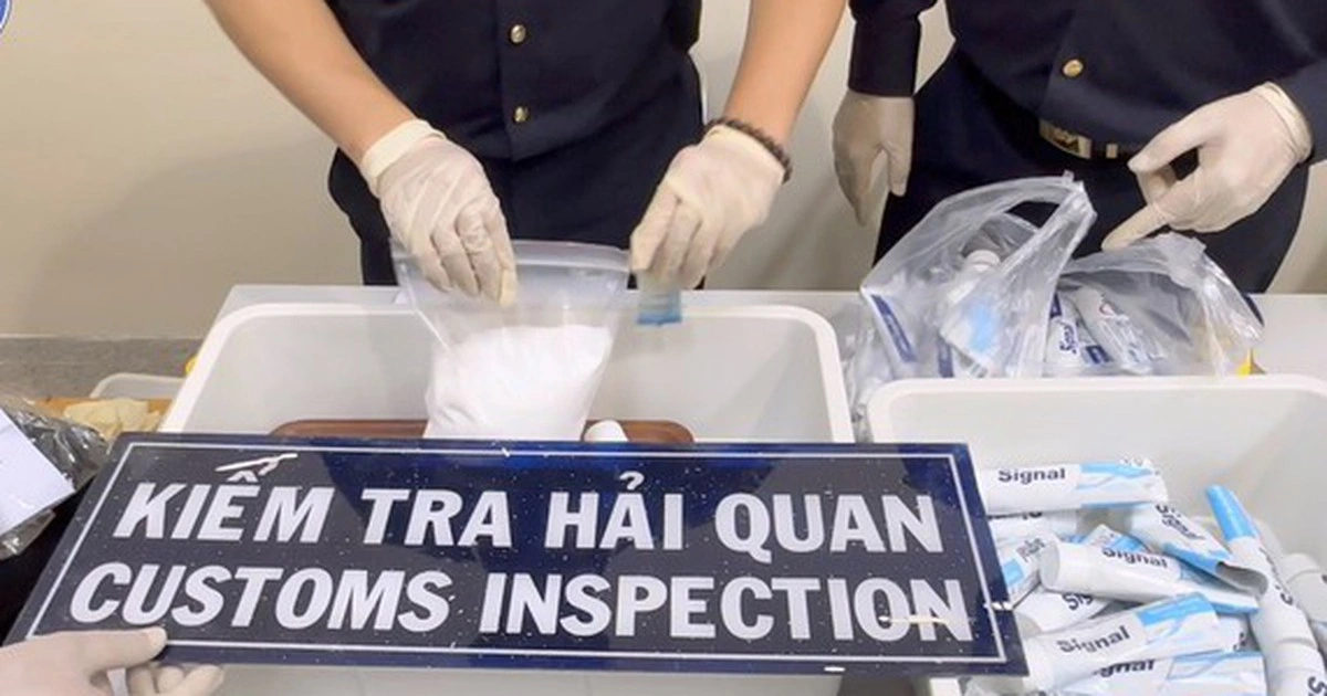 Hải quan Khu vực II chặn hàng trăm kg ma túy các loại tuồn về TP.HCM