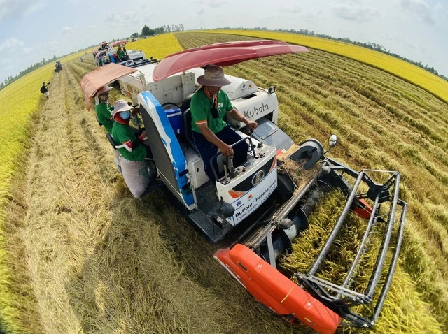 Đón tin vui đầu năm, nông sản phá kỷ lục 70 tỉ USD - Ảnh 2