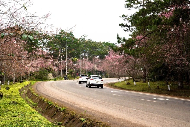 Bộ Xây dựng ra thời hạn khởi công cao tốc Quảng Ngãi - Kon Tum - Ảnh 1