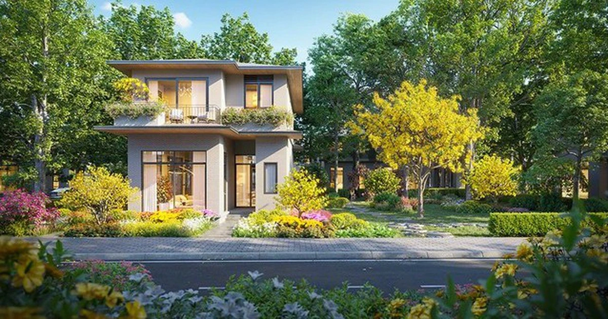 Rừng Mai - Mảnh ghép đầu tiên mở ra Mùa Lễ Hội tại Eco Retreat