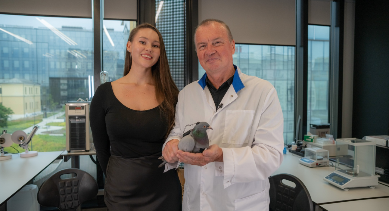 Chuyện thật như đùa: Nga thử nghiệm gắn chip điều khiển vào não chim bồ công để dùng làm công cụ giám sát - Ảnh 1