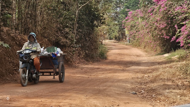 Ám ảnh với bụi đất đỏ khi đi qua đường Lò Lu ở phường Chánh Hiệp, TPHCM - Ảnh 3