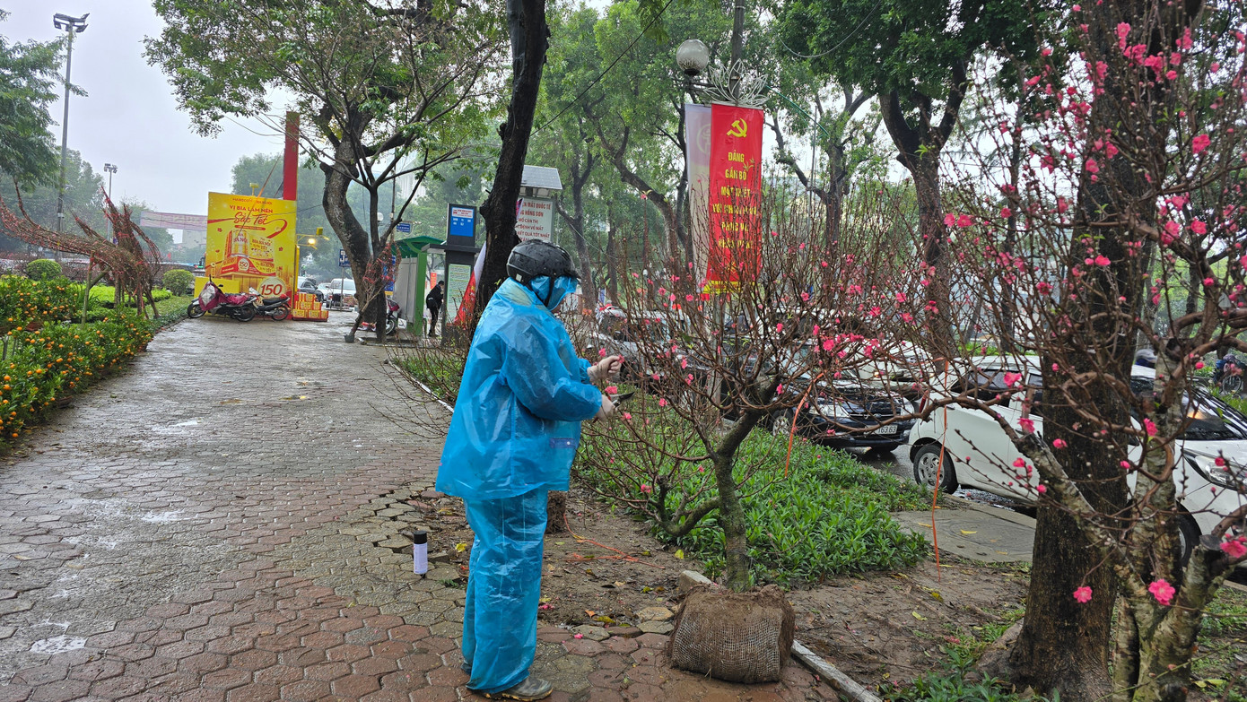 Cận Tết, phố bớt cây cảnh tràn đường, chợ hoa Hà Nội vẫn vắng khách - Ảnh 6