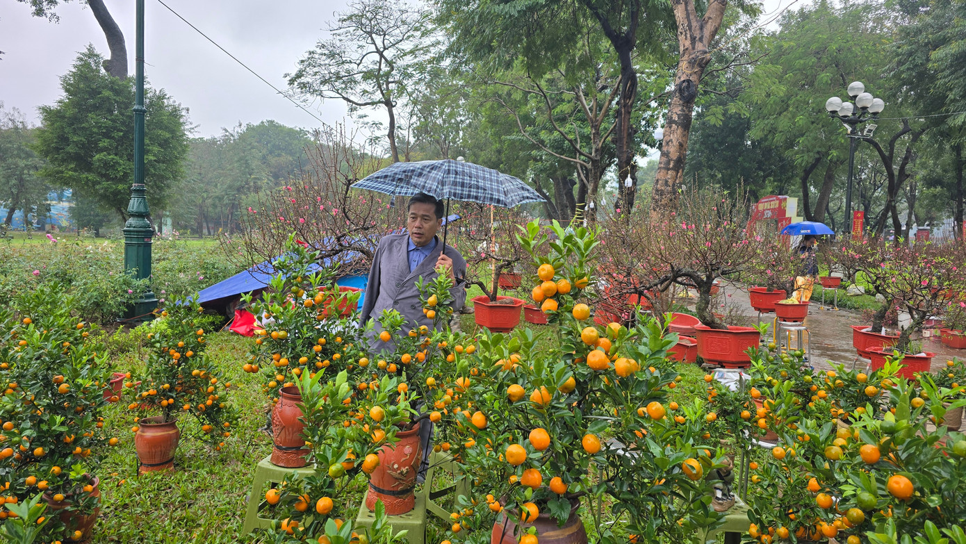 Cận Tết, phố bớt cây cảnh tràn đường, chợ hoa Hà Nội vẫn vắng khách - Ảnh 1