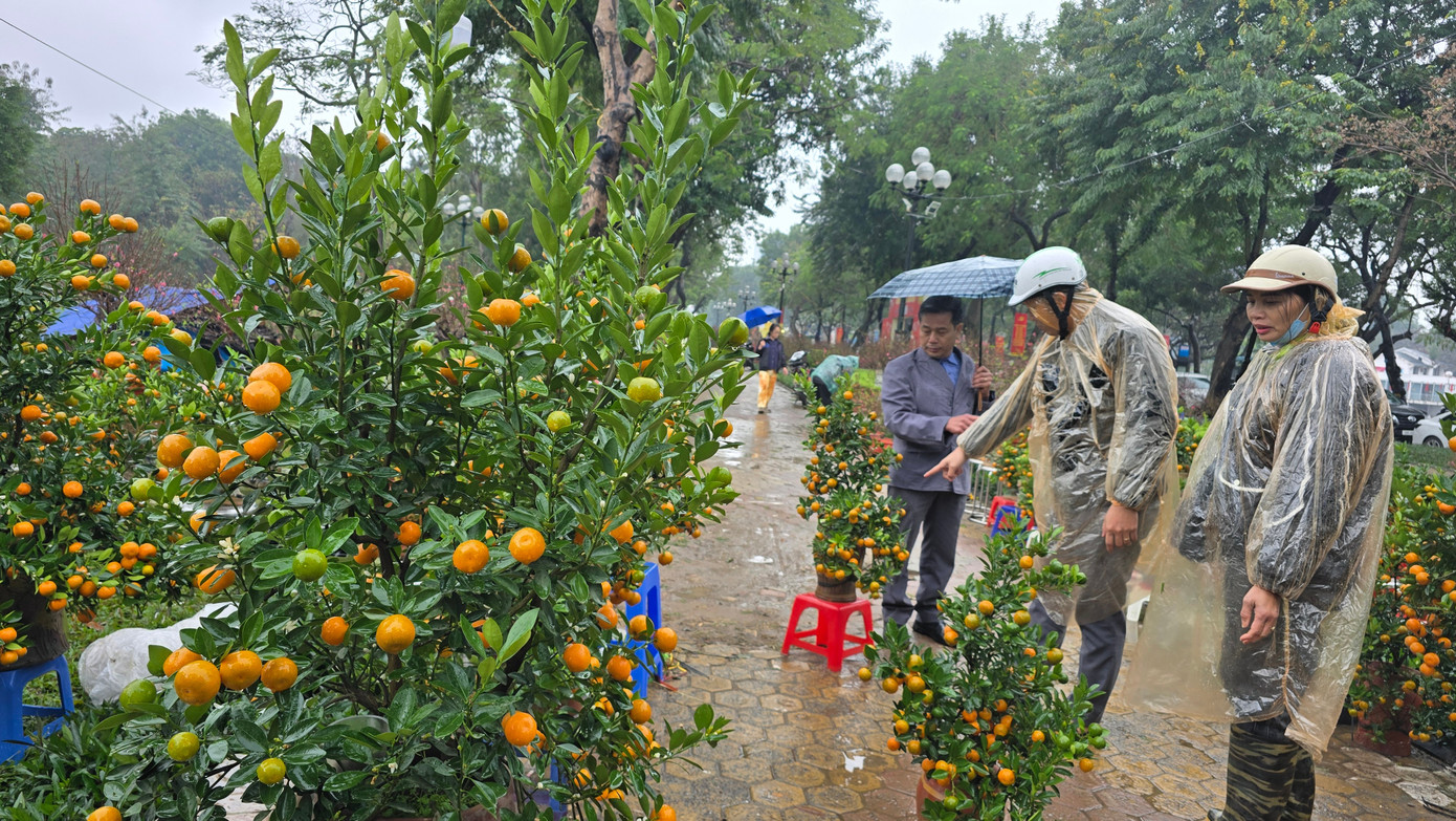 Cận Tết, phố bớt cây cảnh tràn đường, chợ hoa Hà Nội vẫn vắng khách - Ảnh 5