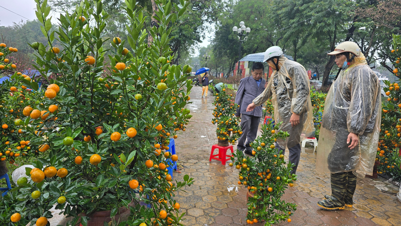 Cận Tết, phố bớt cây cảnh tràn đường, chợ hoa Hà Nội vẫn vắng khách - Ảnh 2