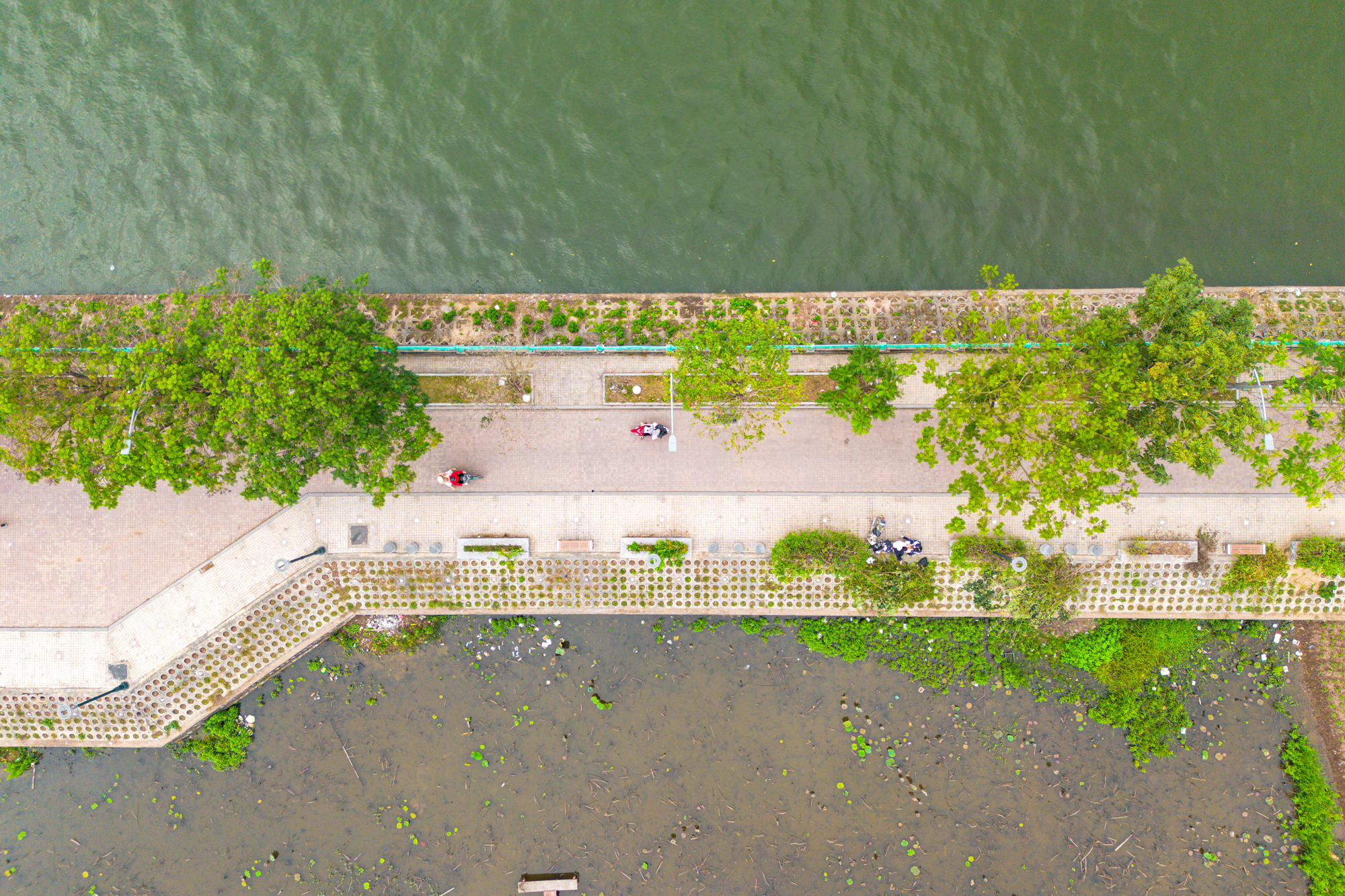 Toàn cảnh dự án 30.000 tỷ giúp hồ Tây “lột xác”: Giữ nguyên mặt nước, thêm vườn hoa, quảng trường nổi và bãi xe ngầm - Ảnh 11