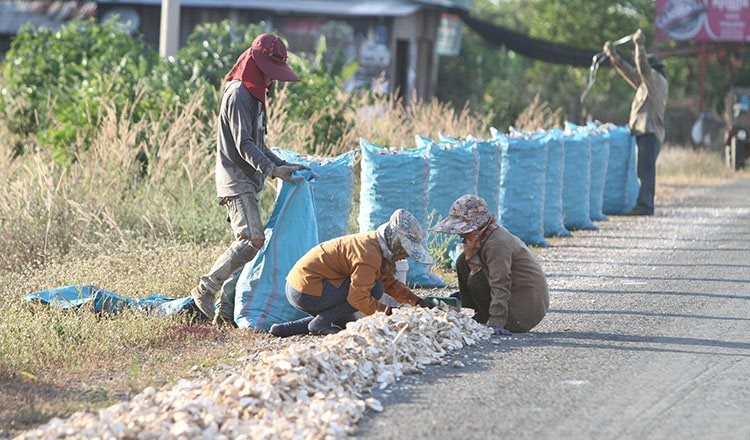 Bị Thái Lan quay lưng với sản phẩm chủ lực, dân Campuchia như ‘ngồi trên đống lửa’, than trời vì bán phá giá cũng ế người mua - Ảnh 1
