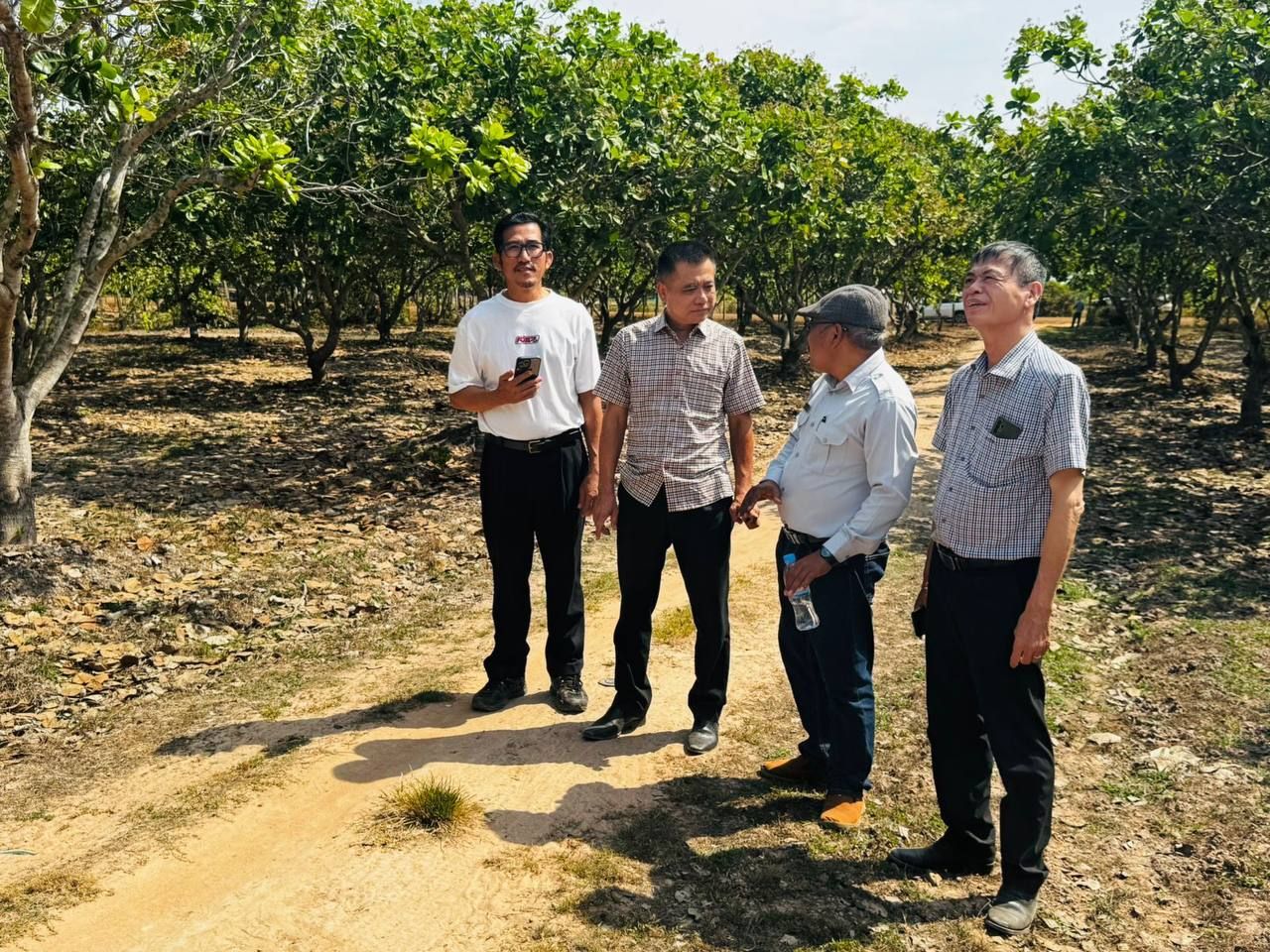 Campuchia xuất hơn 1 triệu tấn, thu 1,5 tỷ USD từ món hàng quen thuộc ngày Tết: Việt Nam là 'đích đến' số 1 - Ảnh 1