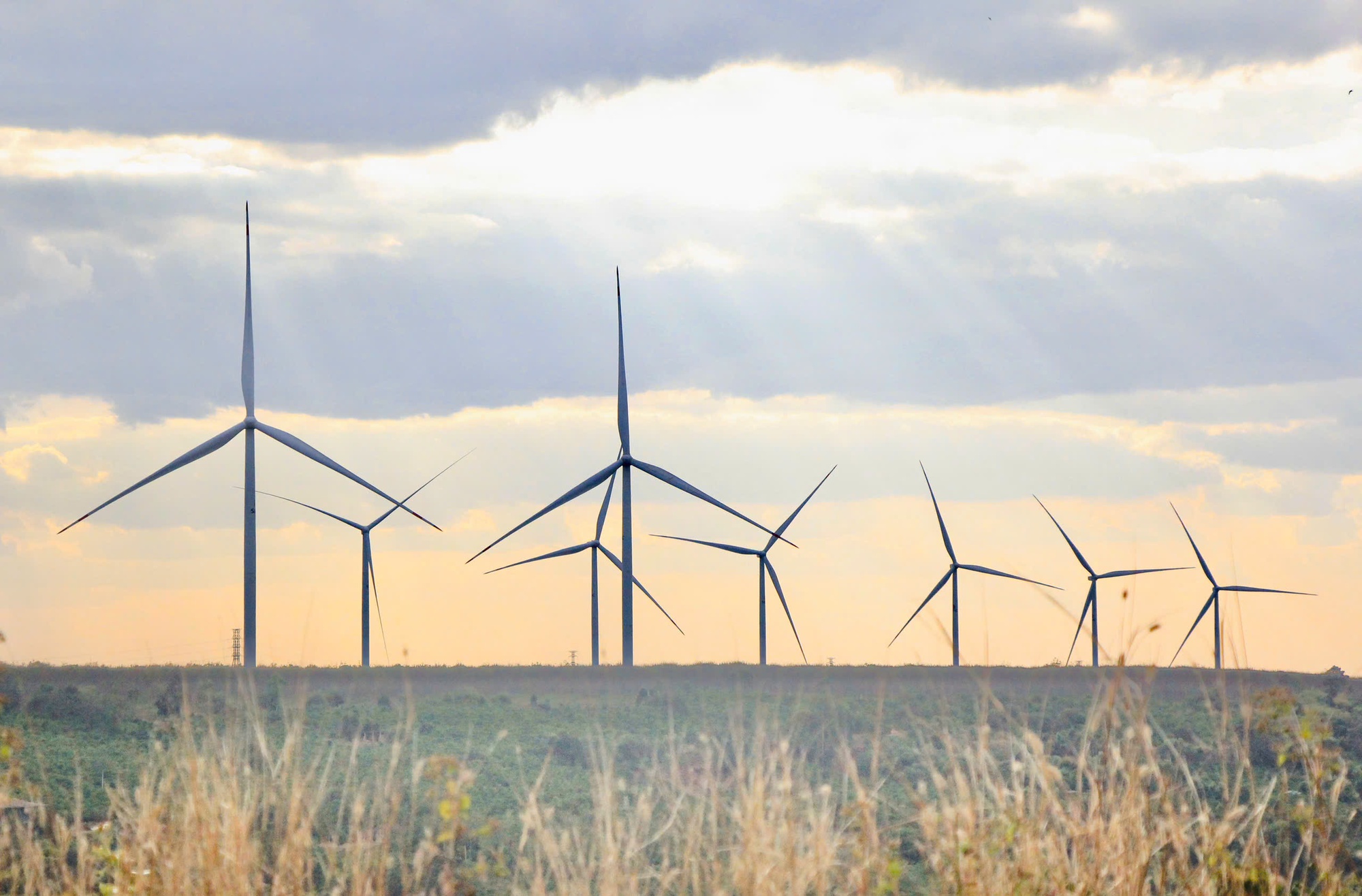 Đưa Gia Lai trở thành trung tâm năng lượng tái tạo - Ảnh 1