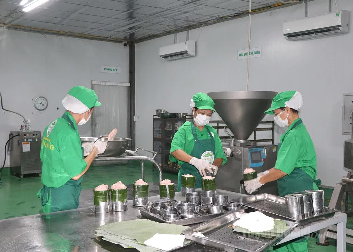 Giám đốc ở Tuyên Quang cho một thứ đặc biệt vào thức ăn nuôi heo, giúp HTX lọt top 10 doanh thu chăn nuôi cả nước - Ảnh 3