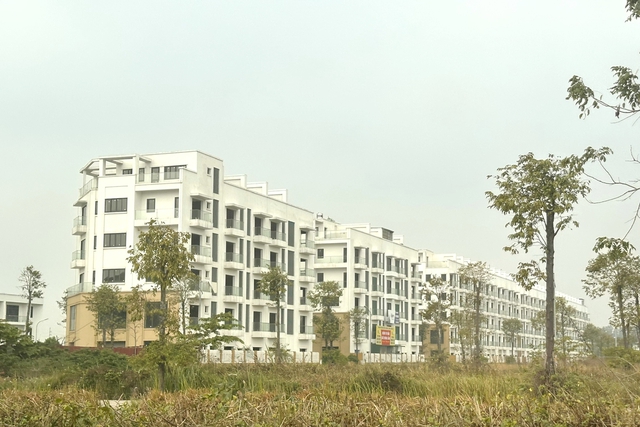 Người dân Bắc Ninh dồn dập đón tin vui - Ảnh 2