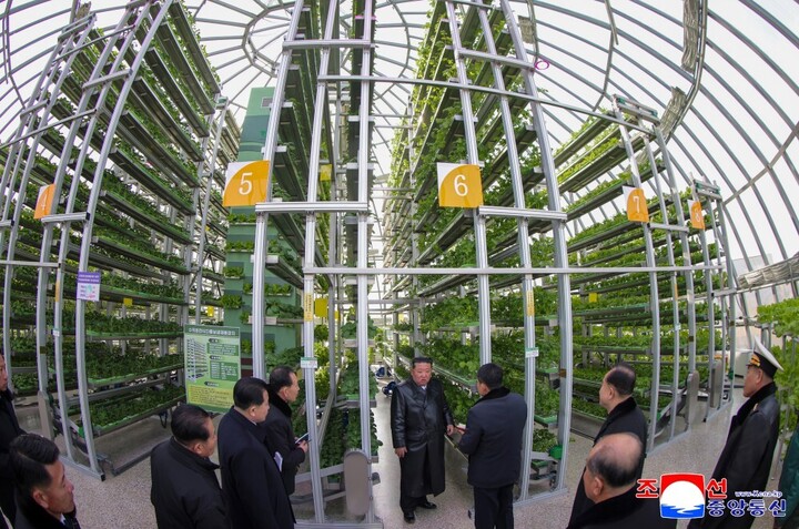 Ảnh hiếm trang trại nhà kính lớn nhất Triều Tiên - Ảnh 8